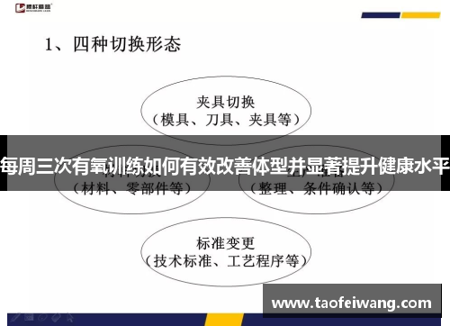 每周三次有氧训练如何有效改善体型并显著提升健康水平