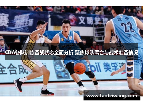 CBA各队训练备战状态全面分析 聚焦球队磨合与战术准备情况
