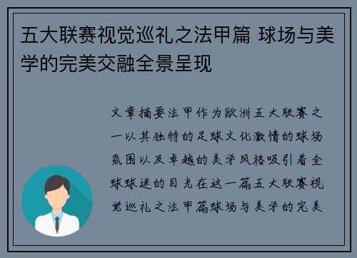 五大联赛视觉巡礼之法甲篇 球场与美学的完美交融全景呈现